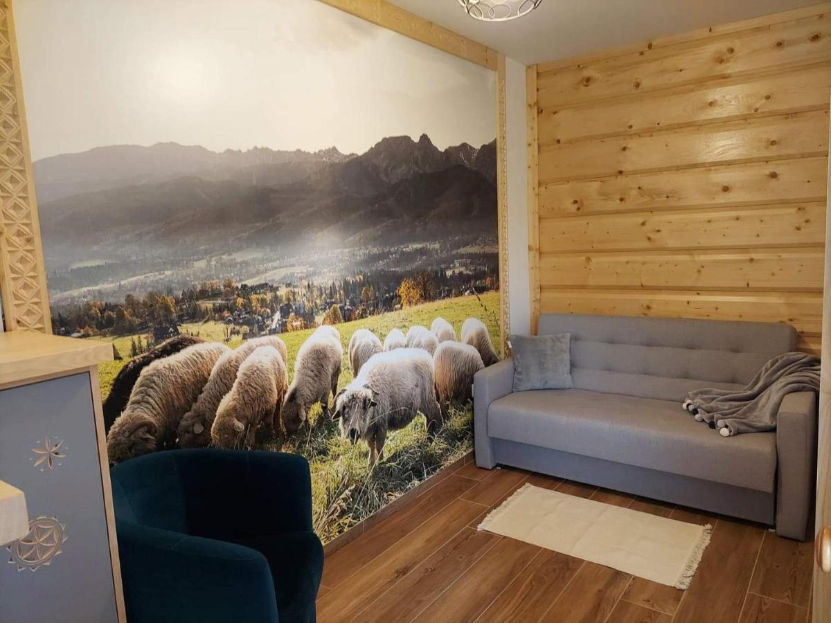 Apartamenty Bachledzki Wierch Закопане Экстерьер фото